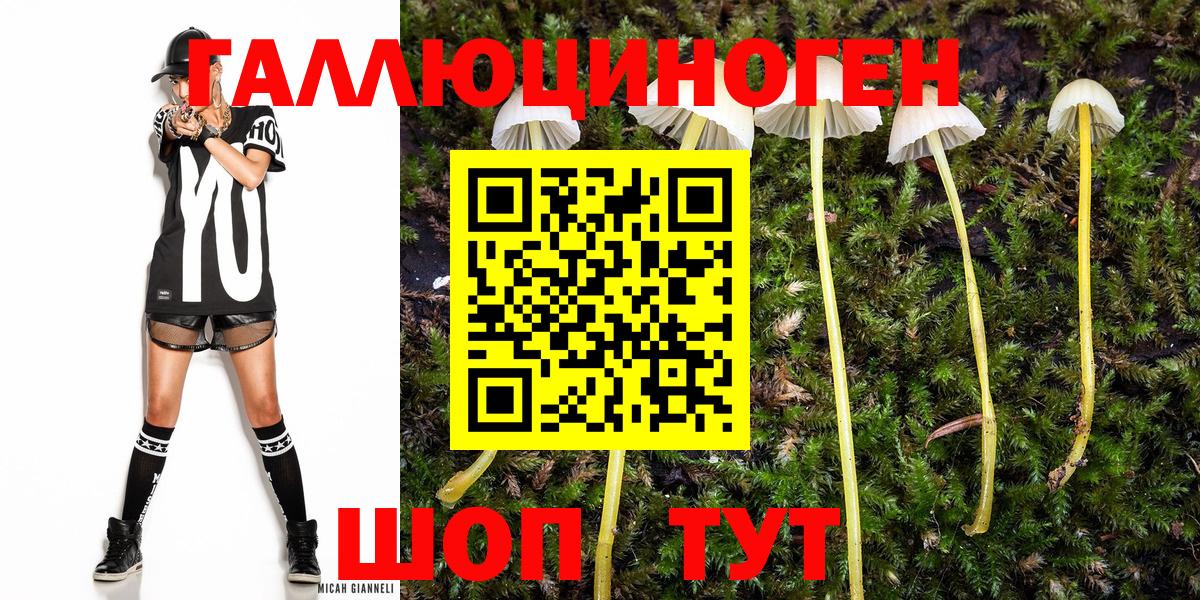 Галлюциногенные грибы Cubensis Нижневартовск